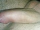 monitibi monitibi