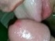 monitibi monitibi